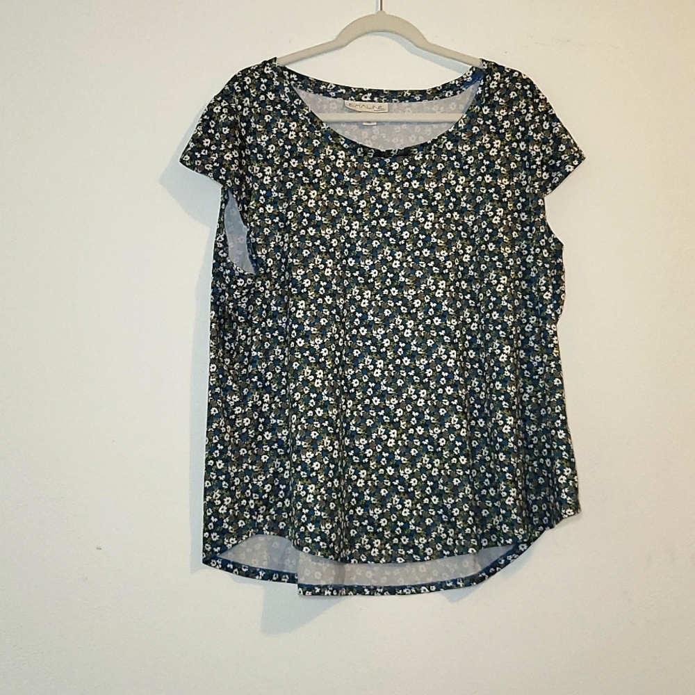 Emaline Woman Green and Blue Floral Top Size 1X